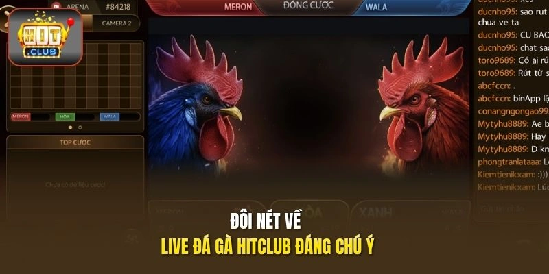 Live Đá Gà HITCLUB | Cập Nhật Lịch Đấu Và Diễn Biến Nhanh 1 Đôi nét về live đá gà HITCLUB đáng chú ý