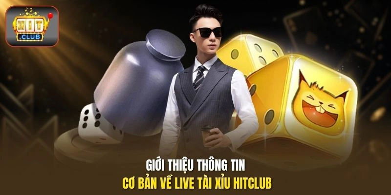 Giới thiệu thông tin cơ bản về Live Tài Xỉu HITCLUB