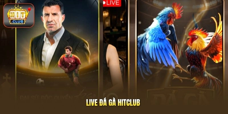 Live đá gà HITCLUB