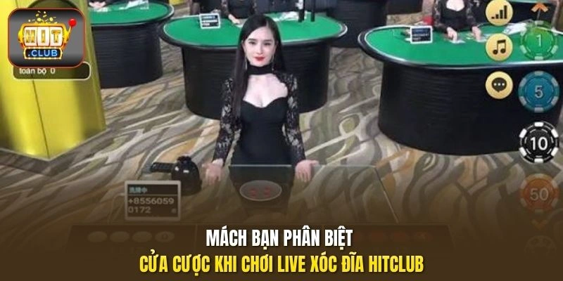 Live Xóc Đĩa HITCLUB | Tất Tần Tật Thông Tin Từ A - Z 2 Mách bạn phân biệt cửa cược khi chơi Live Xóc Đĩa HITCLUB