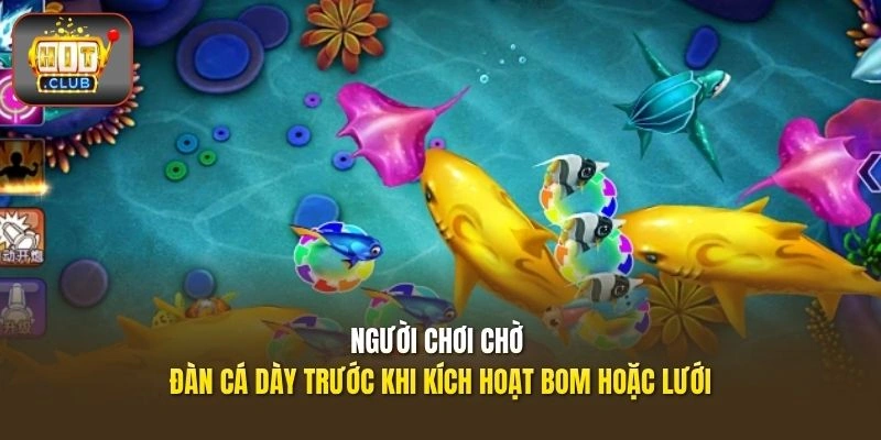 Mẹo Chơi Bắn Cá Online | Cách Bắn Boss Và Kết Hợp Vật Phẩm 3 Người chơi chờ đàn cá dày trước khi kích hoạt bom hoặc lưới