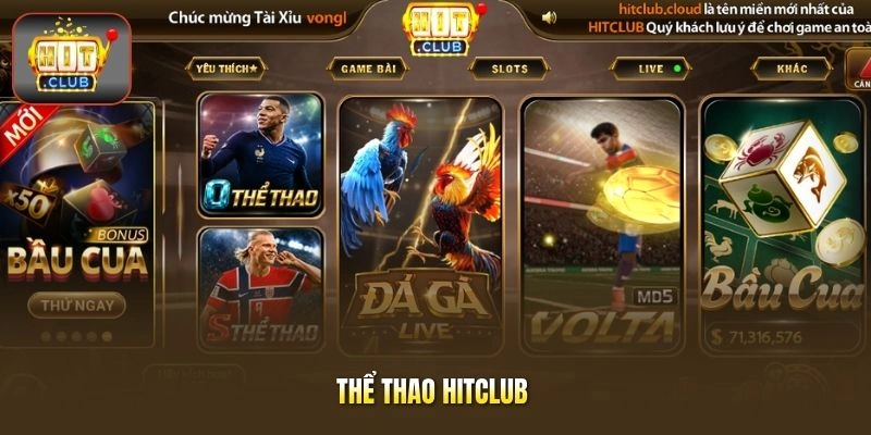 Thể thao HITCLUB