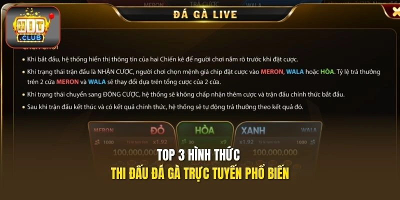 Live Đá Gà HITCLUB | Cập Nhật Lịch Đấu Và Diễn Biến Nhanh 2 Top 3 hình thức thi đấu đá gà trực tuyến phổ biến